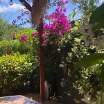 Apartman La & Bali *