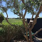 La & Bali