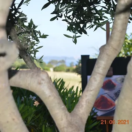 La Suite&spa Bali Carqueiranne