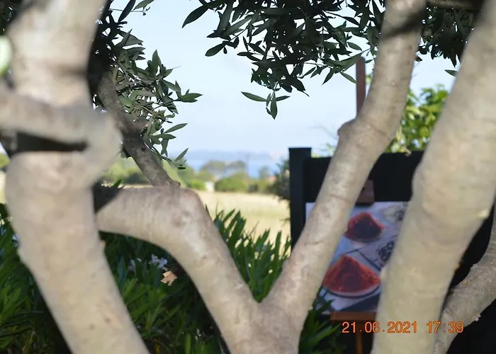 La & Bali 카르쿠에이란느